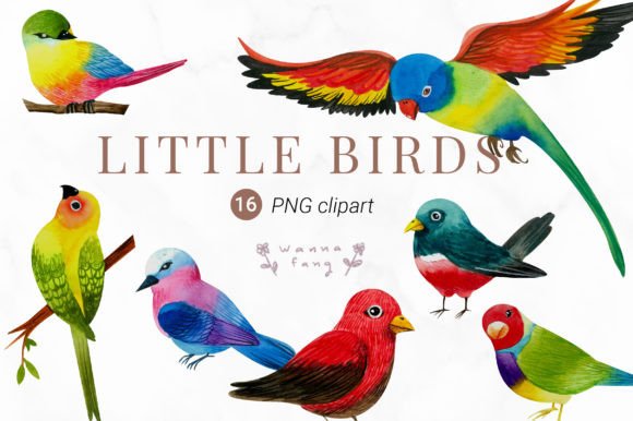 16 Watercolor Bird Clipart, PNG & Illustrations