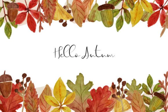 Aesthetic Autumn Leaves Frame Watercolor Illustrations