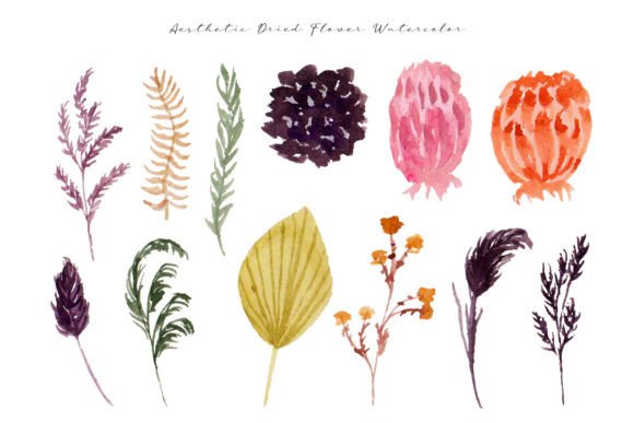 Aesthetic Dried Flower Watercolor Review