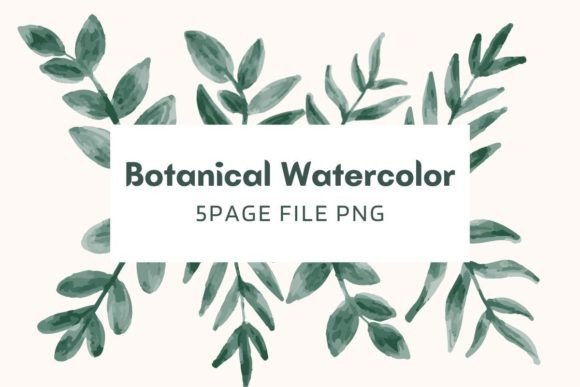 Botanical Watercolor Pack 08: Premium Illustrations