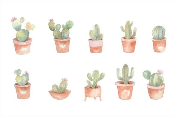 Cactus in Pot Watercolor Clip Art & Illustrations