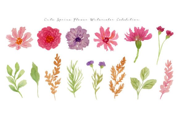Cute Flower and Leaf Watercolor Element