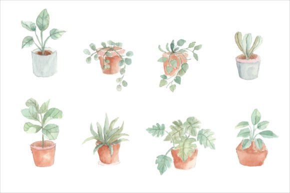 House Plant Watercolor Clipart & Illustrations