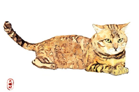 Japanese Watercolor Cat Illustrations for Crafters