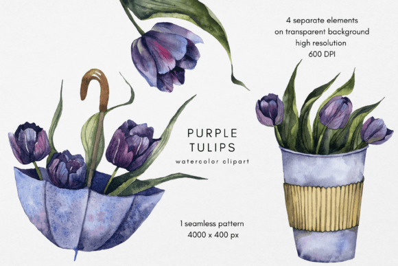 Purple Tulips Rainy Watercolor Illustrations