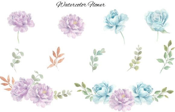 Rose Watercolor Flower Clipart 07 Review