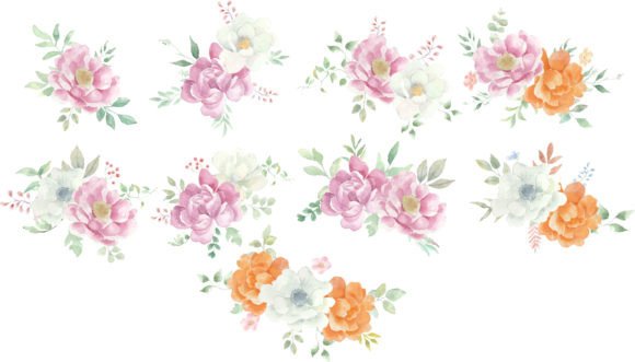 Various Watercolor Flower Illustrations Review