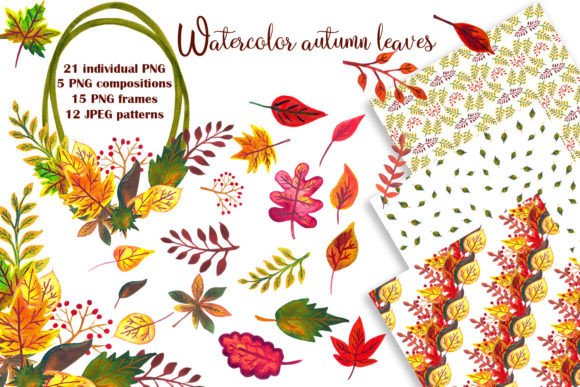 Watercolor Autumn Leaves Illustrations Review