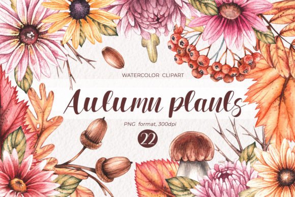 Watercolor Autumn Plants Clipart PNG Review