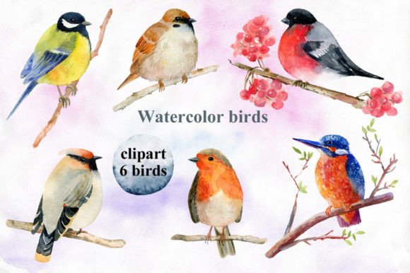 Watercolor Birds Clipart for Illustrations