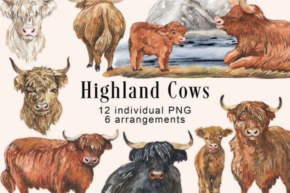 Watercolor Highland Cows Clipart & Illustrations