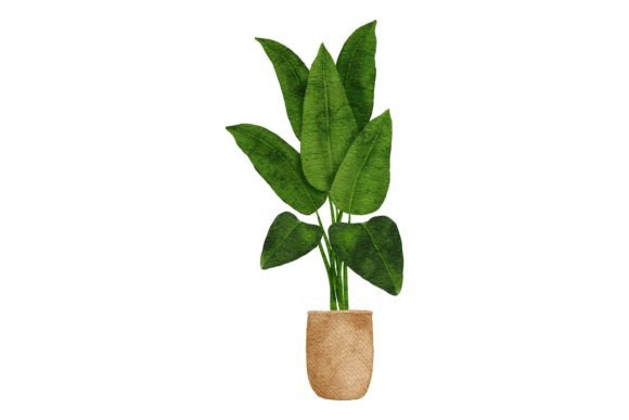 Watercolor Home Decor Tropical Plant Illustrations