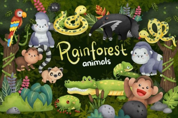 Watercolor Rainforest Animal Clipart & Illustrations