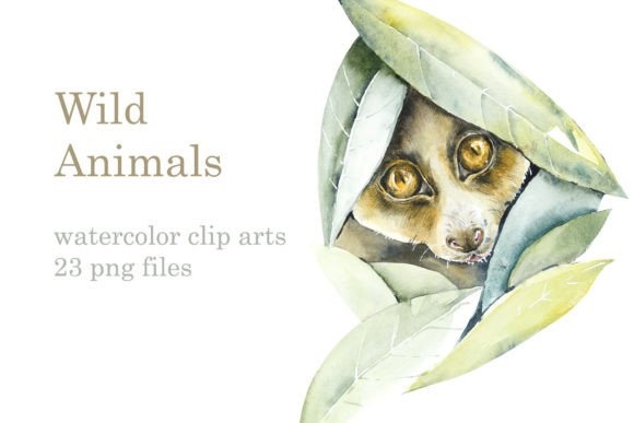 Watercolor Wild Animals Sketches & Illustrations