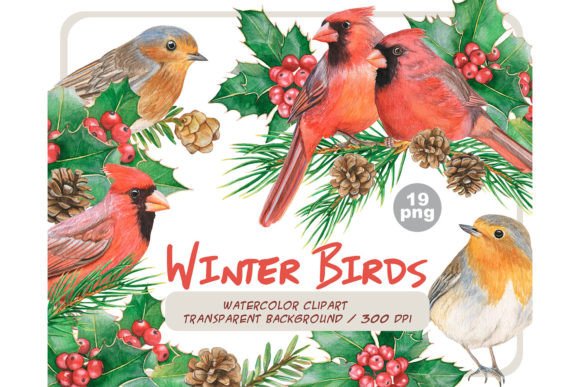 Watercolor Winter Birds Illustrations Review